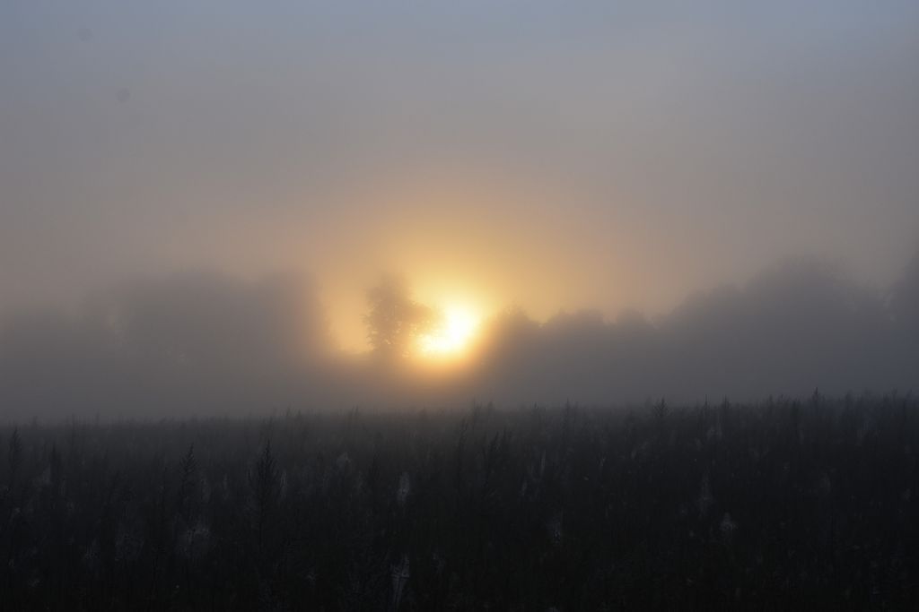 DSC_0212
