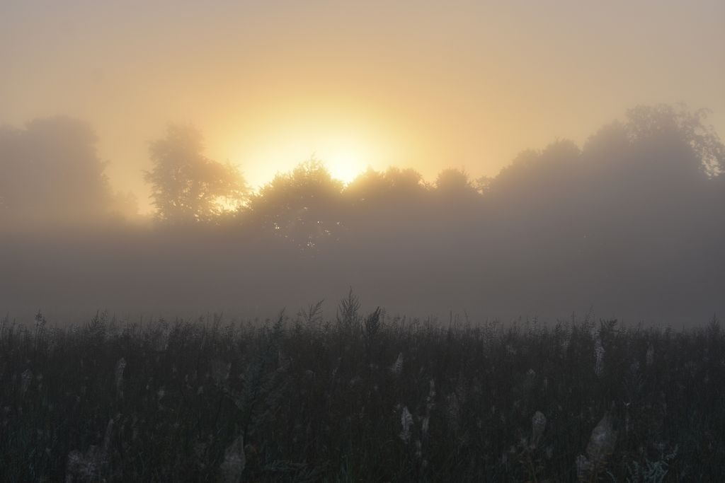 DSC_0214
