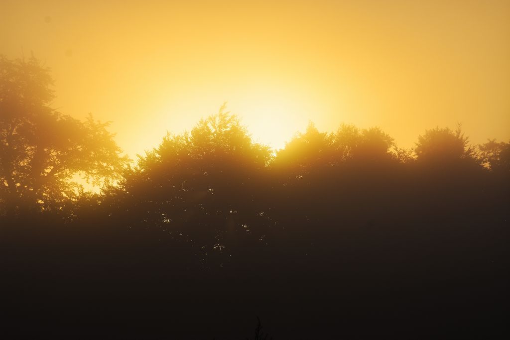 DSC_0215