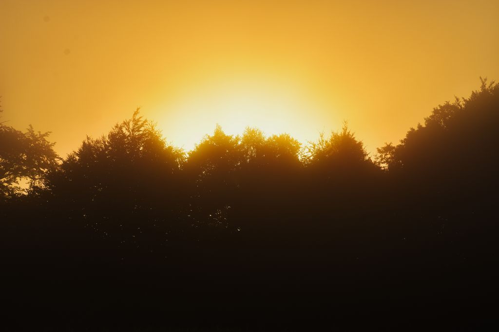 DSC_0217