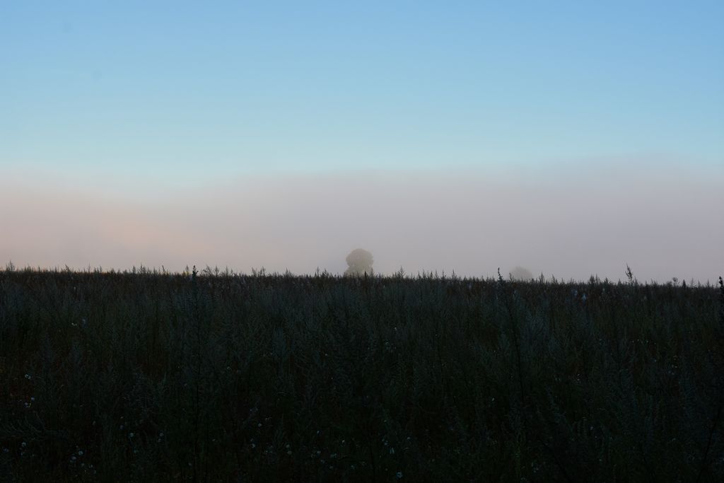 DSC_0222