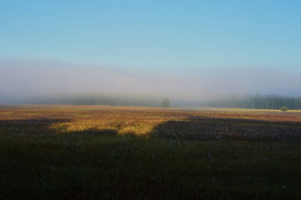 DSC_0230