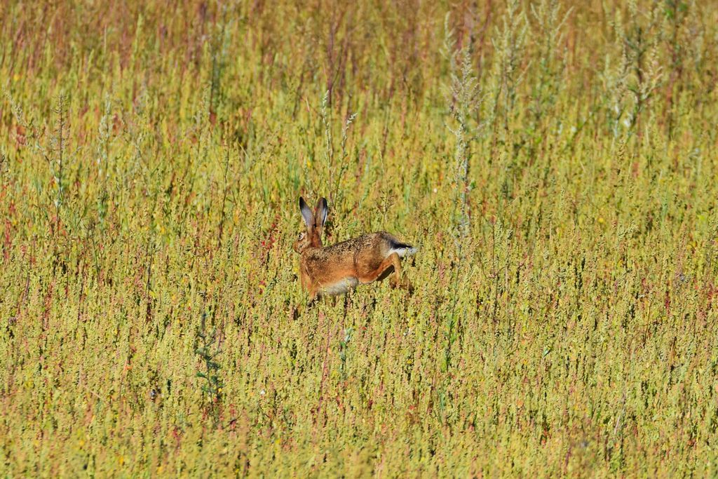 DSC_0326