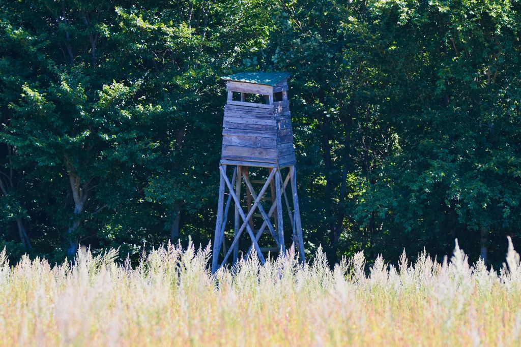 DSC_0581
