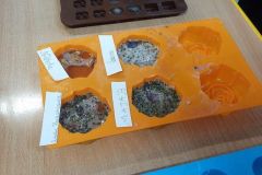 IMG_20201014_101456