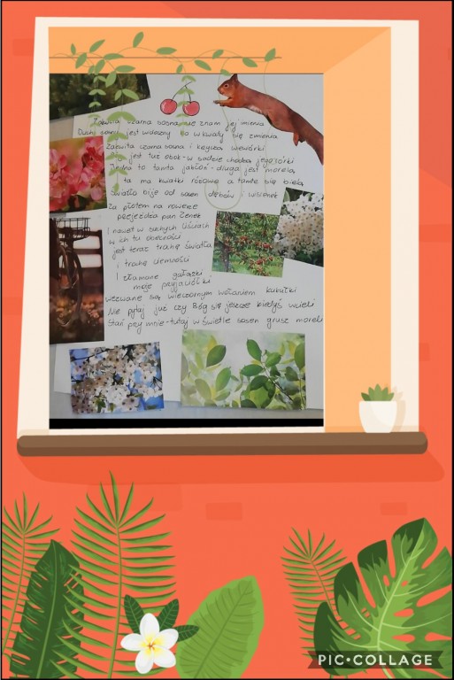 Collage-2021-03-25-12_56_34