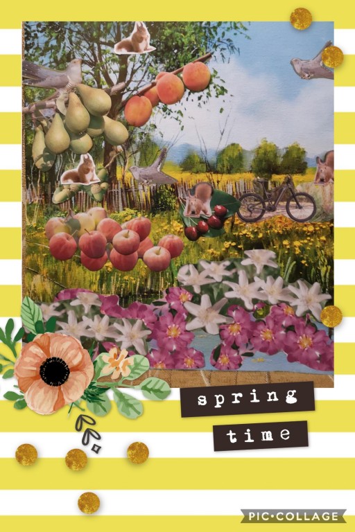 Collage-2021-03-25-12_58_46