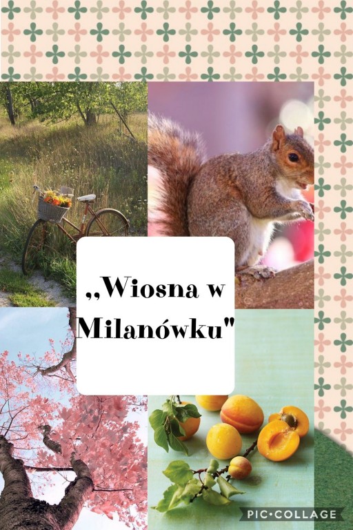 Collage-2021-03-25-13_00_28