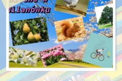 Collage-2021-03-25-13_05_42