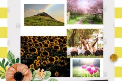Collage-2021-03-25-13_12_15