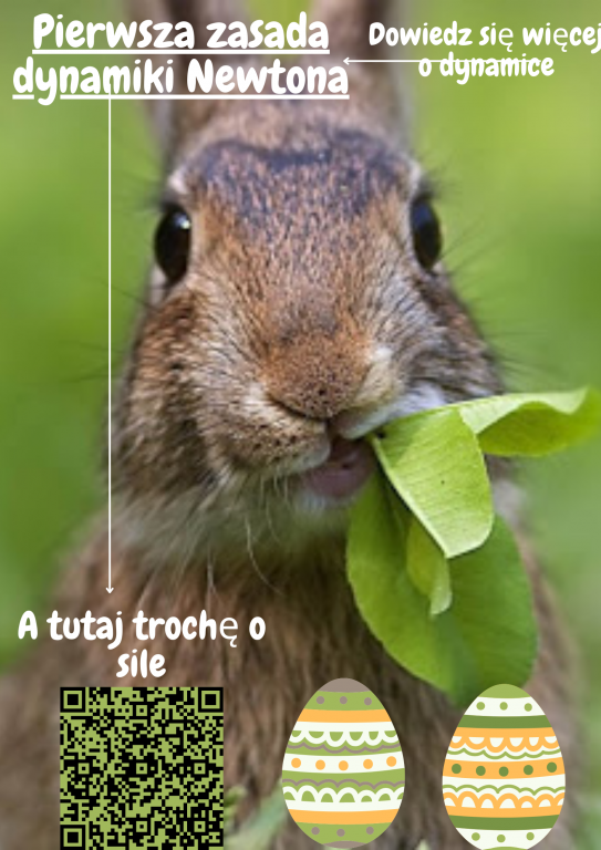 siła i zasada dynamiki Newtona