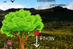 F1=3N