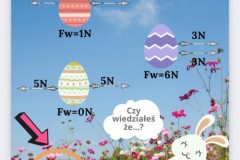 Screenshot_2021-03-31-09-39-00-103_com.canva_.editor-2