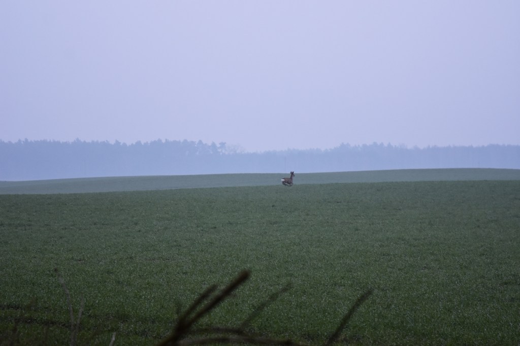 DSC_0790