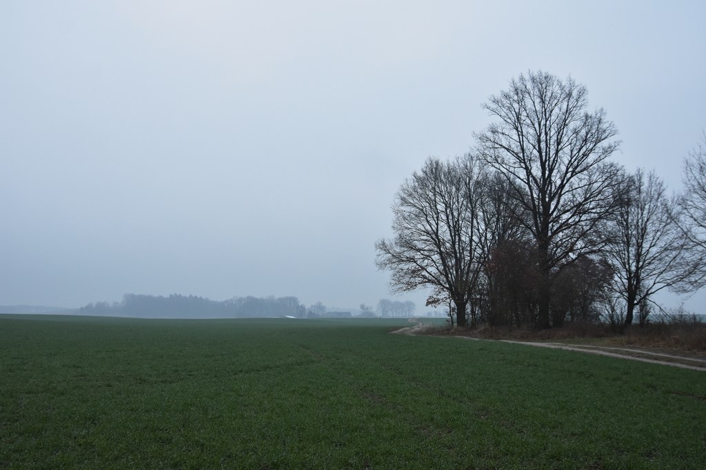 DSC_0793