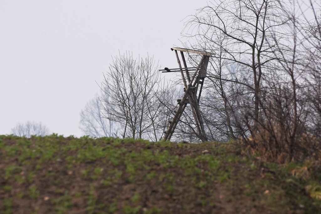 DSC_0810