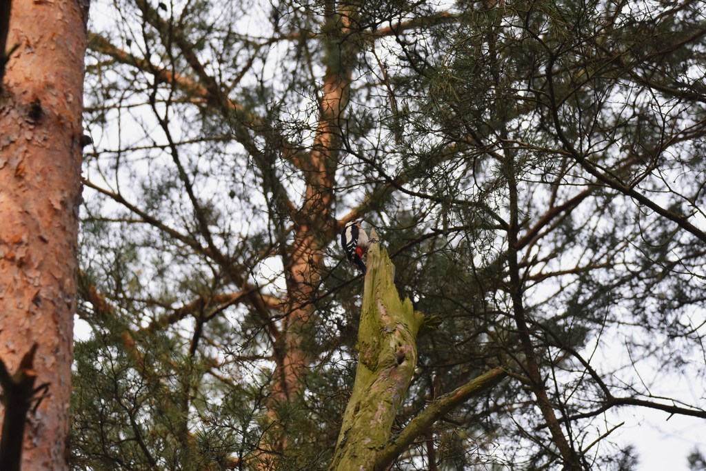 DSC_0820