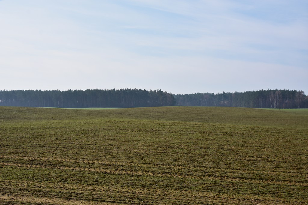 DSC_0831