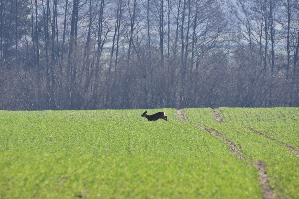 DSC_0839