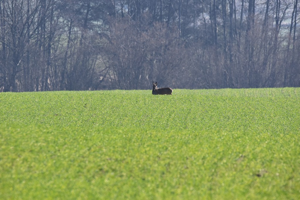 DSC_0840