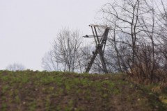 DSC_0810