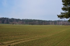 DSC_0829