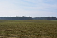 DSC_0831