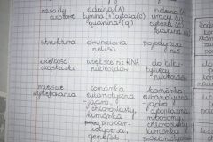 received_1040867486445943
