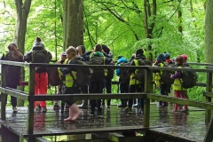 IMG_20210528_101208