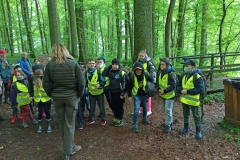 IMG_20210528_101631