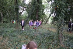 IMG_9554