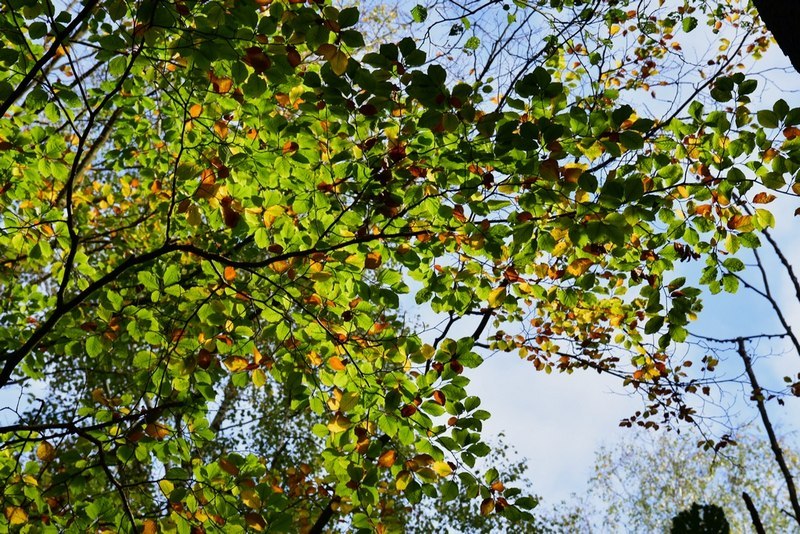 DSC_3571