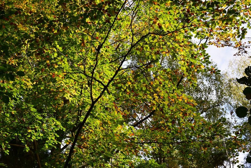DSC_3573