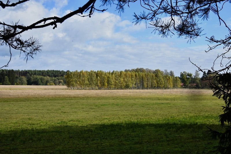 DSC_3651