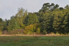 DSC_3537