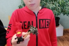 rbt