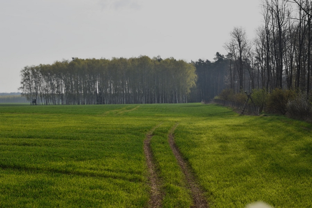 DSC_4306