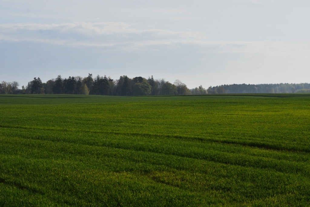 DSC_4307