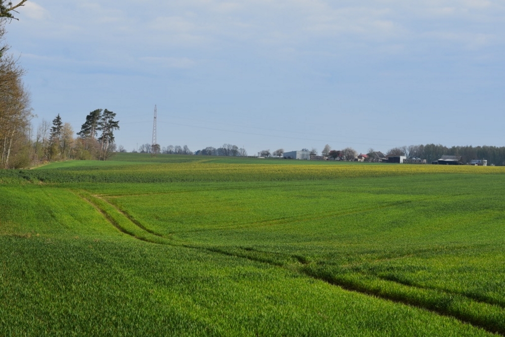 DSC_4308