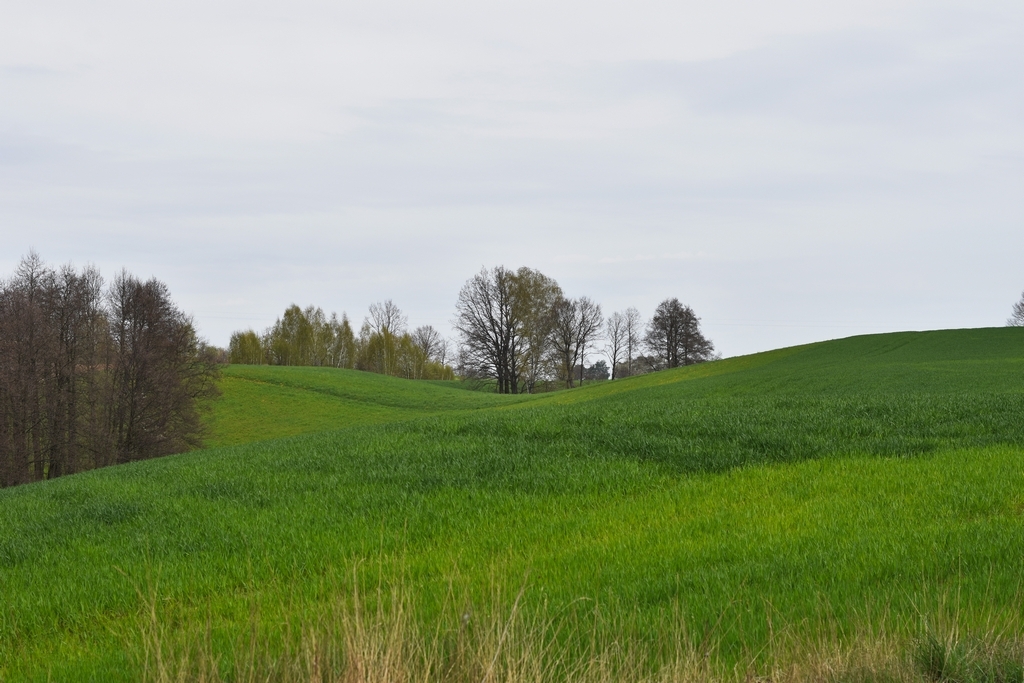 DSC_4388