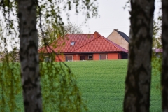 DSC_4241
