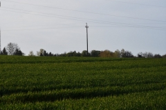 DSC_4286