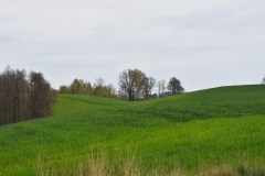 DSC_4388