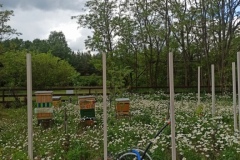 IMG_20220530_100257