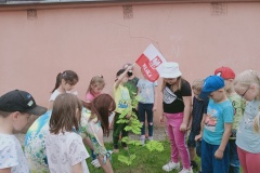 IMG20220609124719