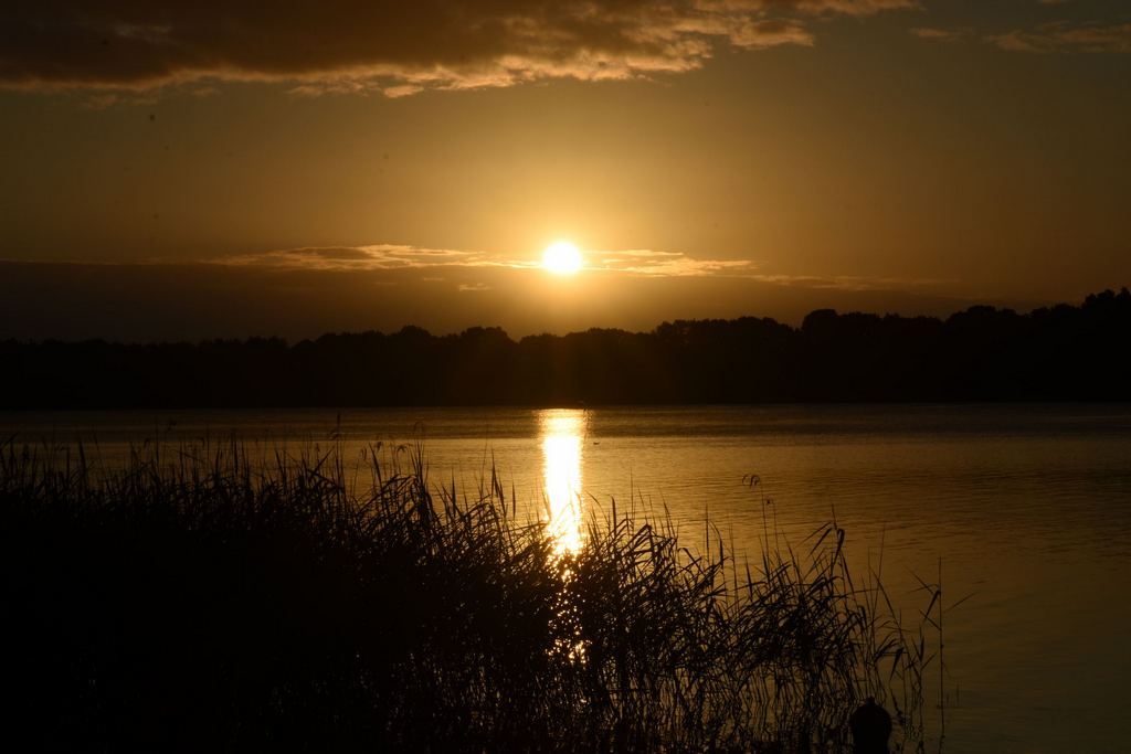 DSC_4867