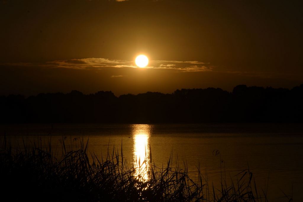 DSC_4873