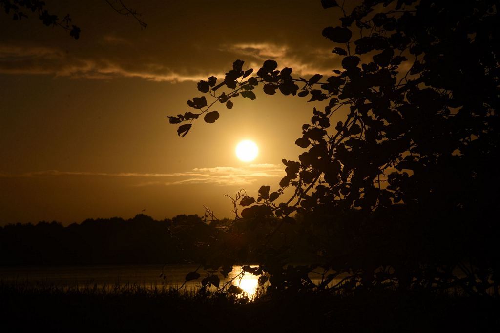 DSC_4879