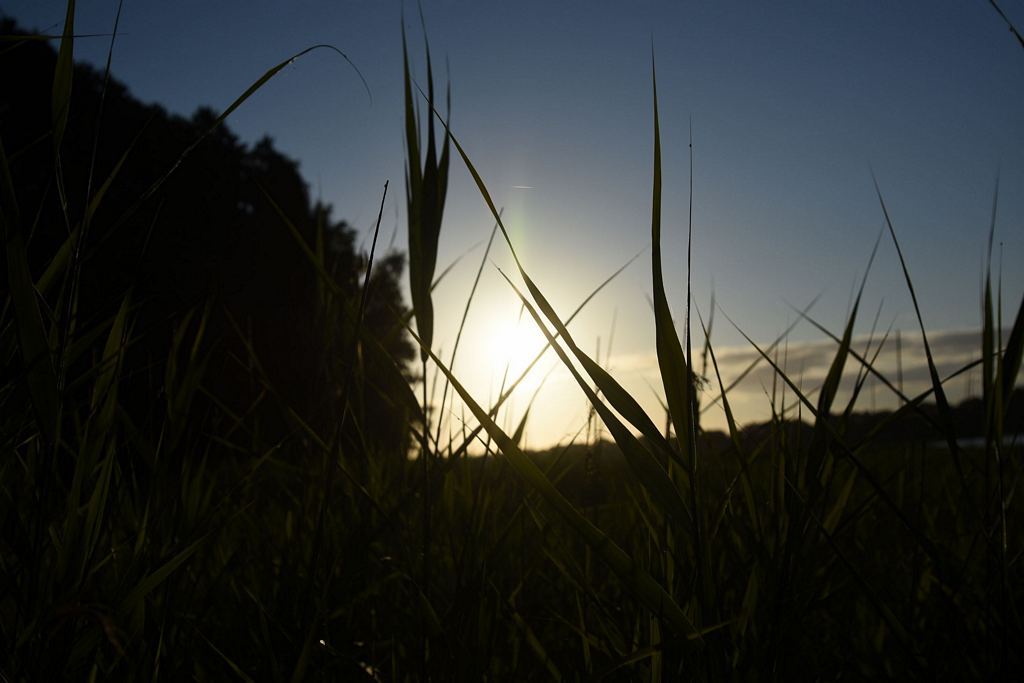 DSC_4895