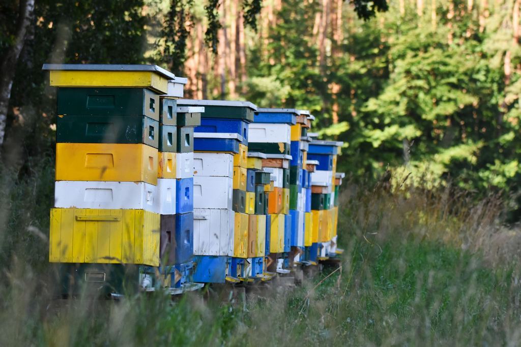 DSC_4948